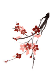 水墨梅花