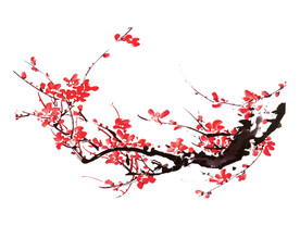 水墨梅花