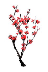 水墨梅花