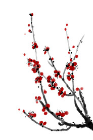 水墨梅花