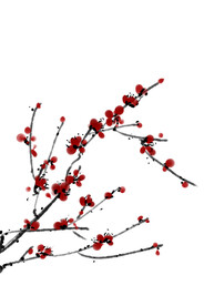 水墨梅花