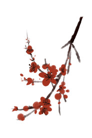 水墨梅花
