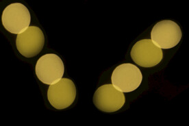 斑点光效 摄影特效