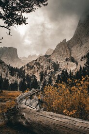 山脉风景和木杆