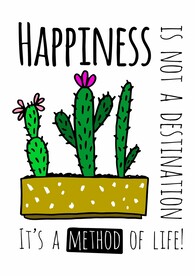 仙人掌 阳台植物