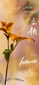  立秋海报 