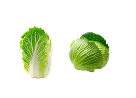 白菜卷心菜