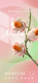 母亲节海报  