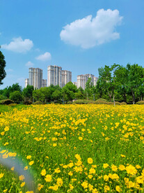 城市高楼绿化花海