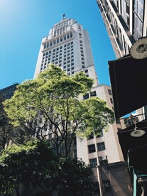 树木和大厦建筑