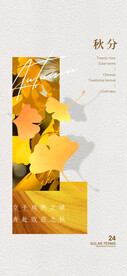秋分海报 
