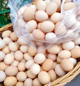 鸡蛋