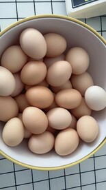  鸡蛋