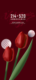 520海报 