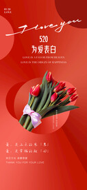 520海报  