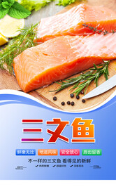 三文鱼海报