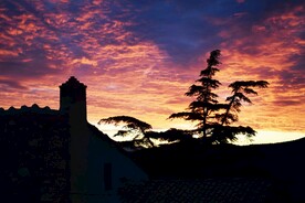 彩霞树木剪影风景