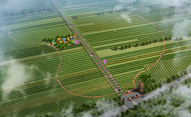 葡萄园鸟瞰