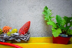 松果和绿植盆栽