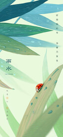 雨水海报  