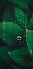 雨水海报  