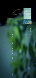 雨水海报  