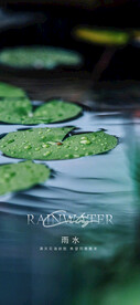 雨水海报  