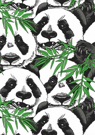 国宝熊猫 
