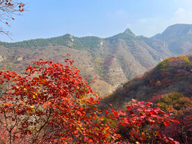 红叶山