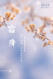 雪景 霜降 冬天