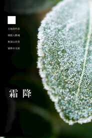 霜降 冰霜 结冰