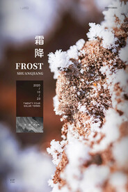 霜降海报 24节气海报