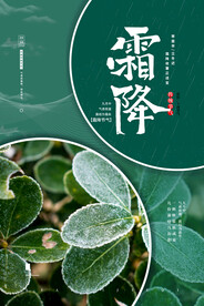 霜降海报 24节气海报
