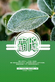 霜降节气海报