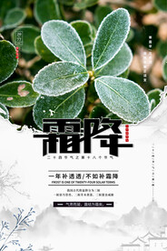 霜降 二十四节气