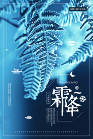 霜降 结霜的树枝