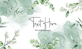 优雅的桉树叶背景