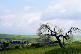 山野风景和建筑物