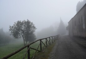 雾天中的村庄道路