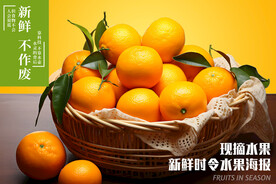 桔子 橙子 橘子