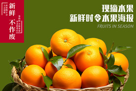 橙子 桔子 橘子