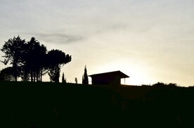 树丛和房子剪影