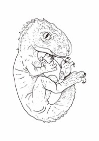 恐龙宝宝线稿