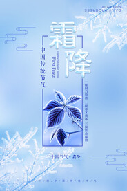 霜降 挂霜的树枝