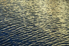 水波纹