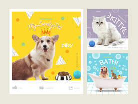 宠物猫狗海报