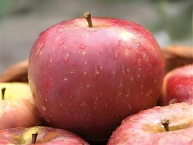 红苹果