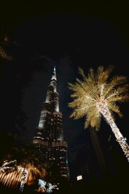 城市高楼夜景和椰子树