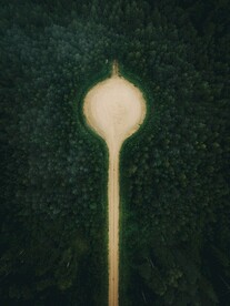 林间道路鸟瞰图