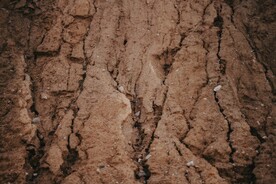 泥土裂痕